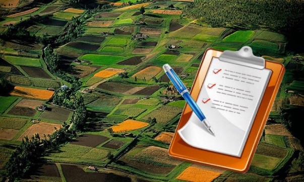 БУ «Центр имущественных отношений» осуществляет прием и рассмотрение деклараций о характеристиках земельных участков