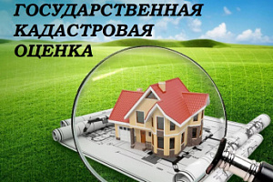 Важно знать о государственной кадастровой оценке
