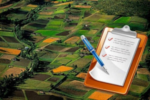 БУ «Центр имущественных отношений» осуществляет прием и рассмотрение деклараций о характеристиках земельных участков